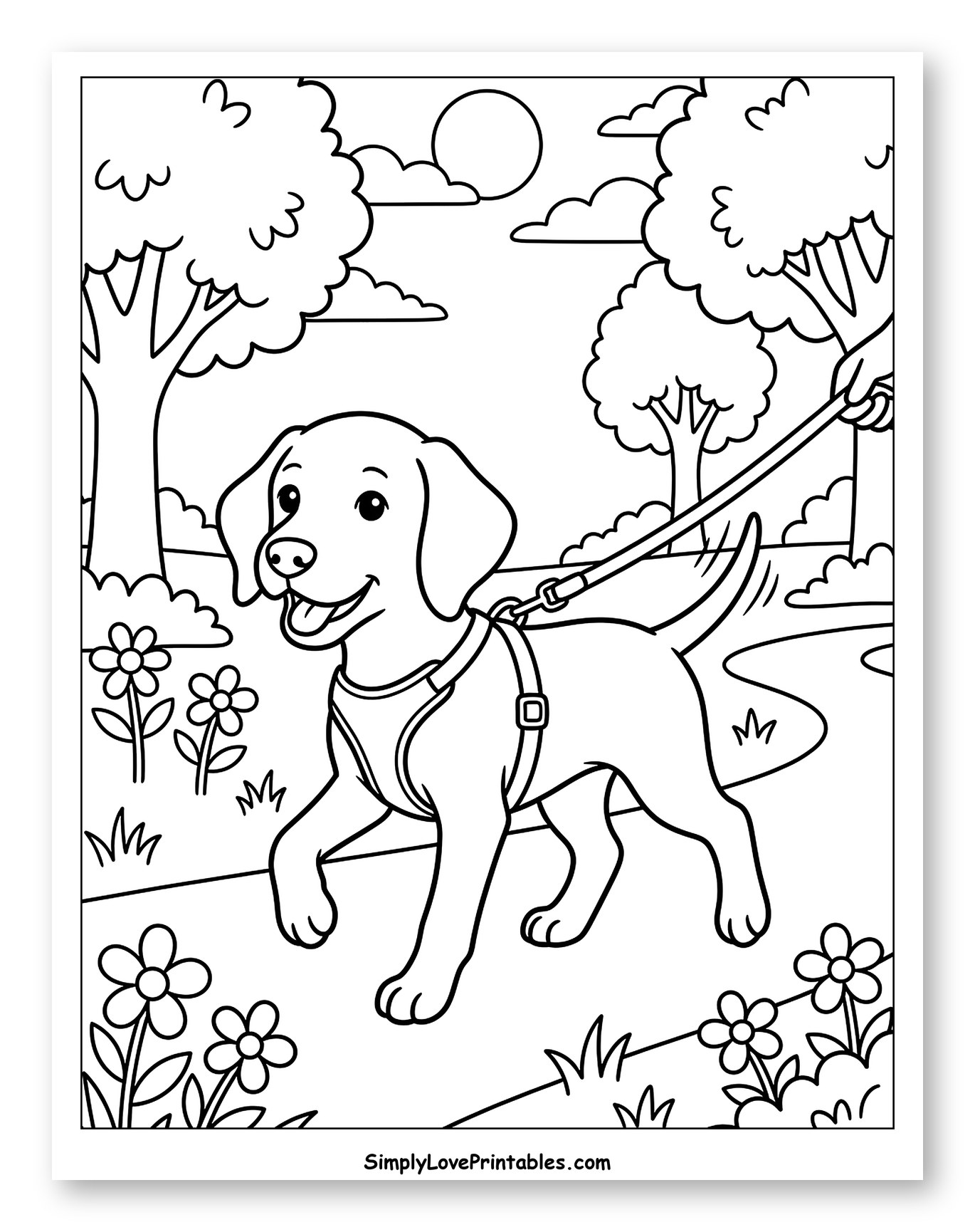 Happy Puppy Walking on Leash Outdoors