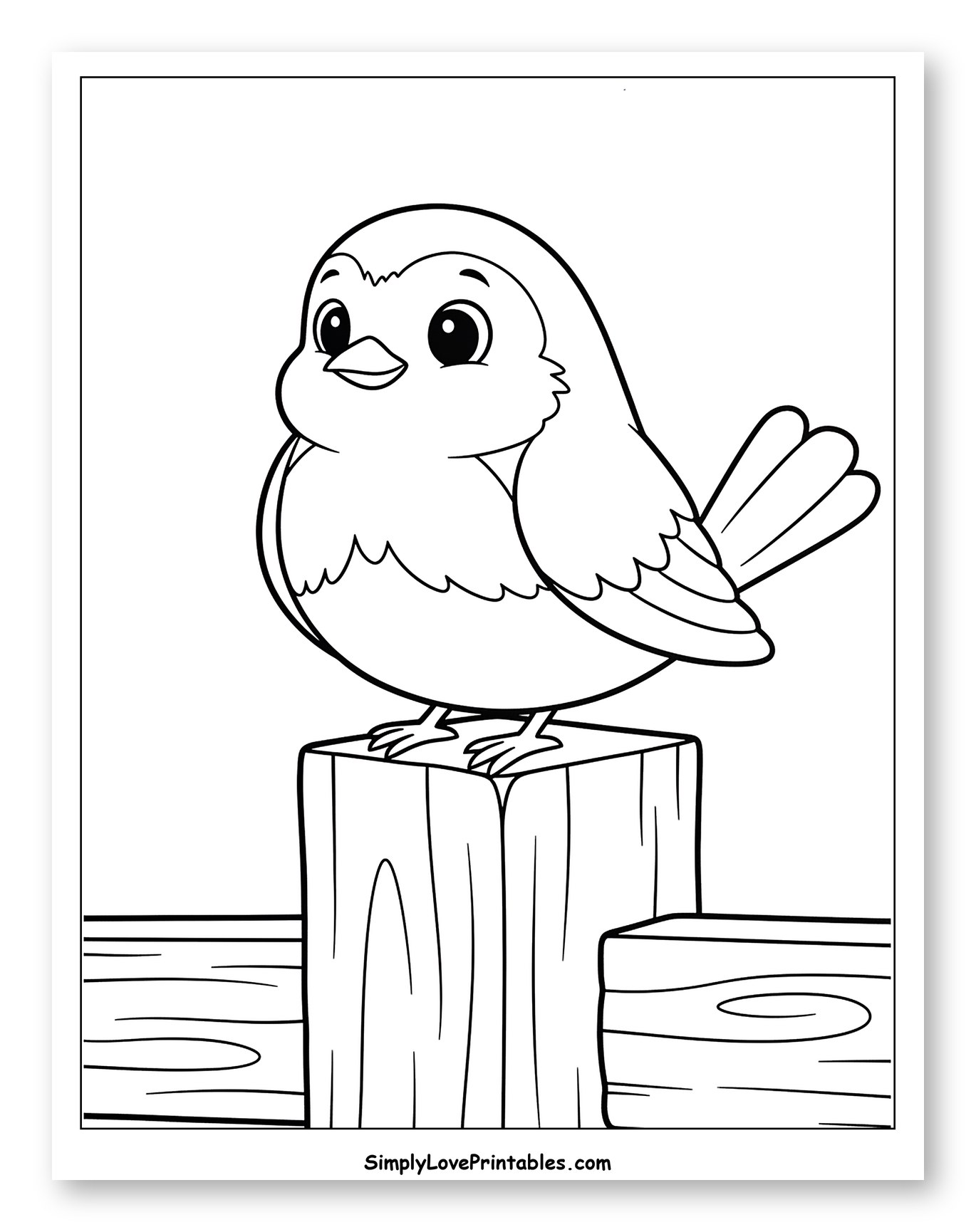 Happy Robin Perched on a Wooden Fence
