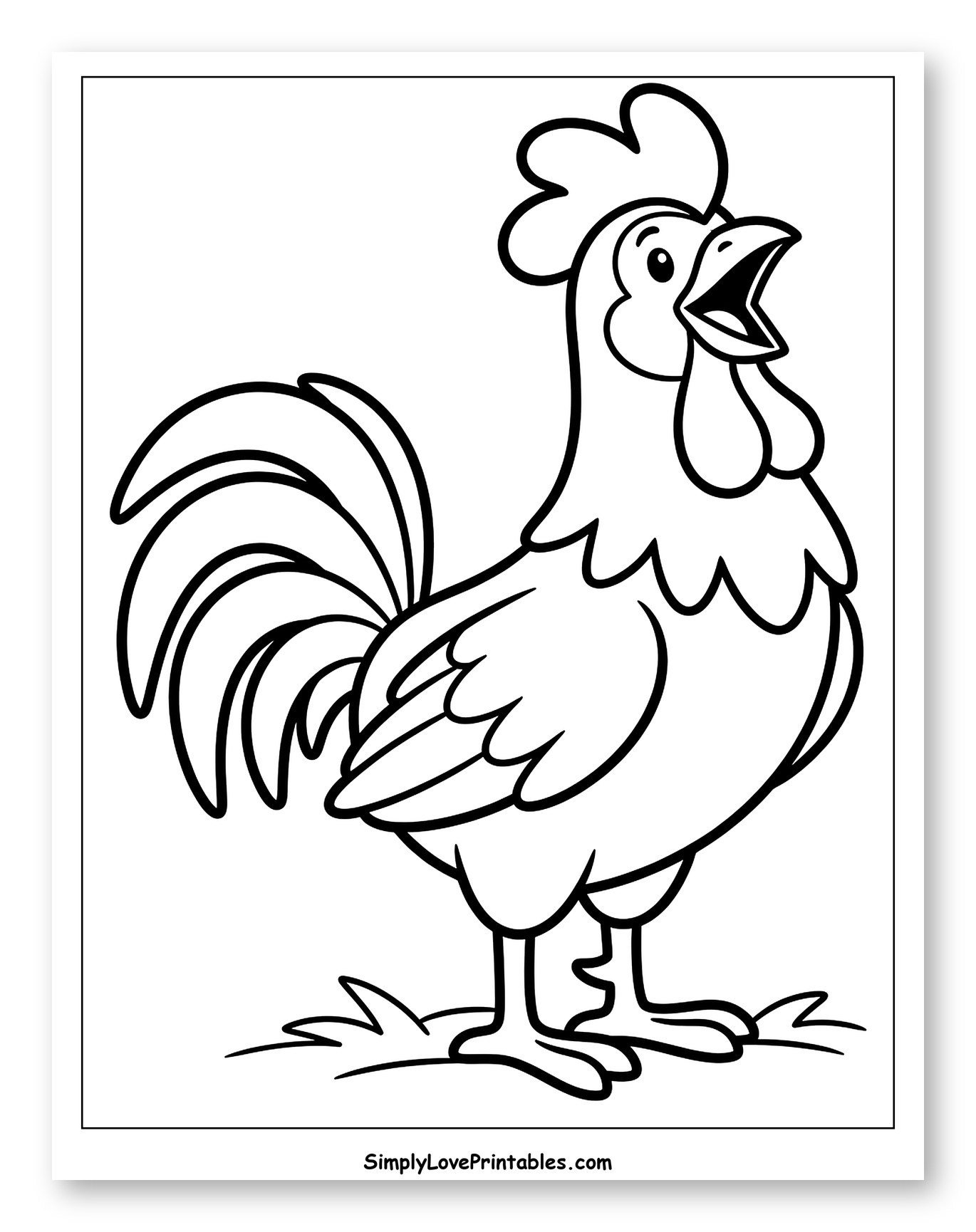 Happy Rooster Standing and Crowing