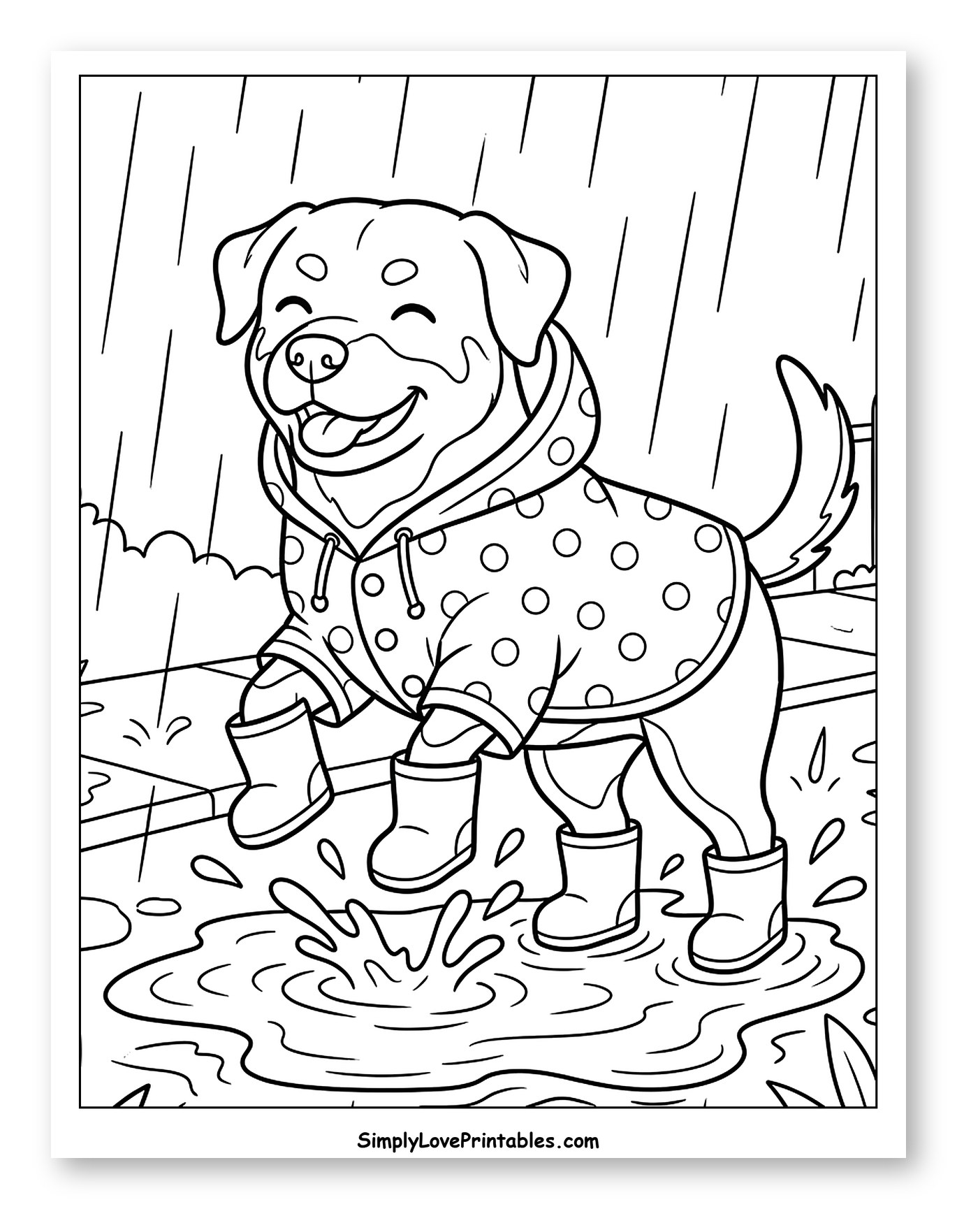 Happy Rottweiler Dog Splashing in Puddles