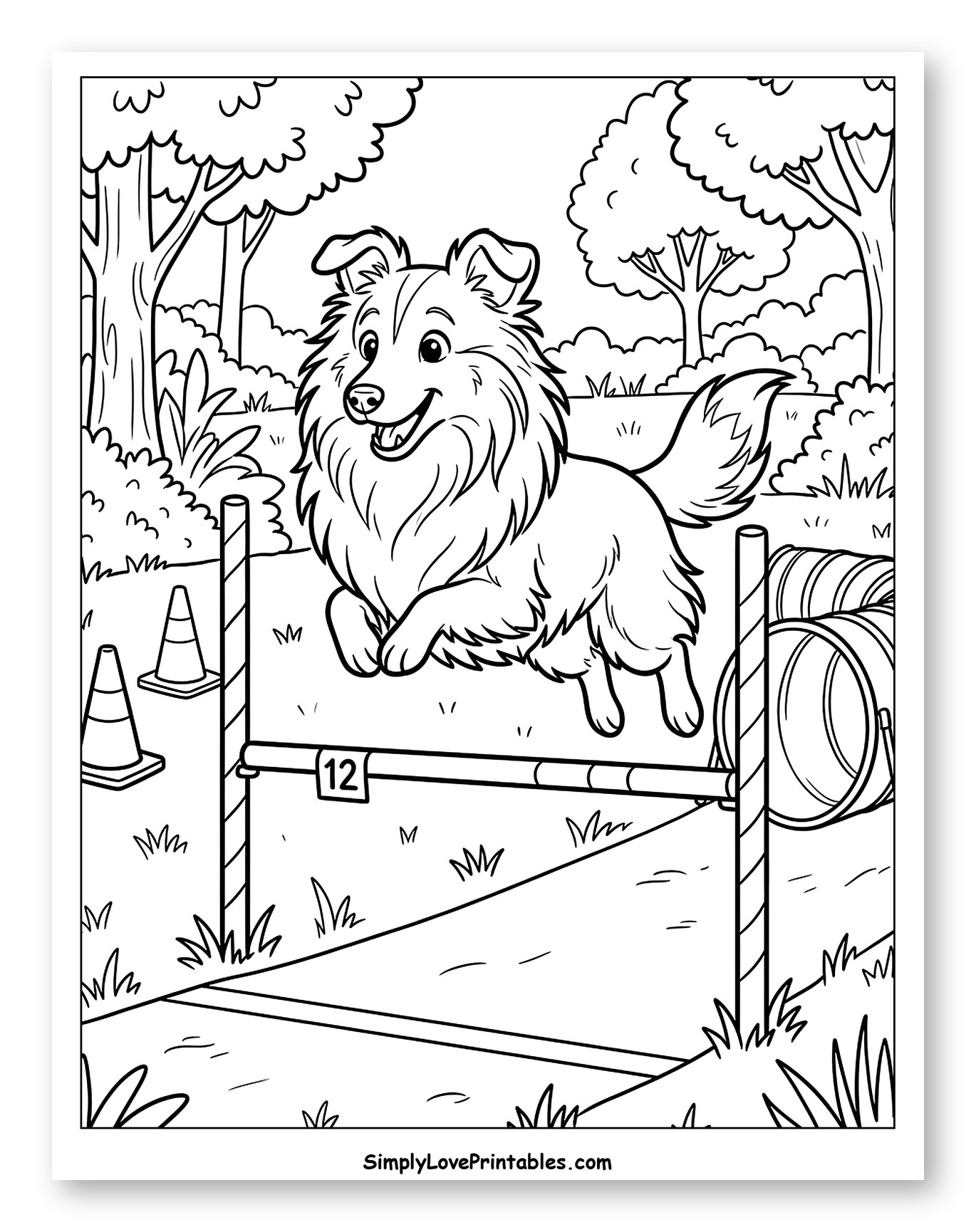 Happy Sheltie Leaping Over a Hurdle