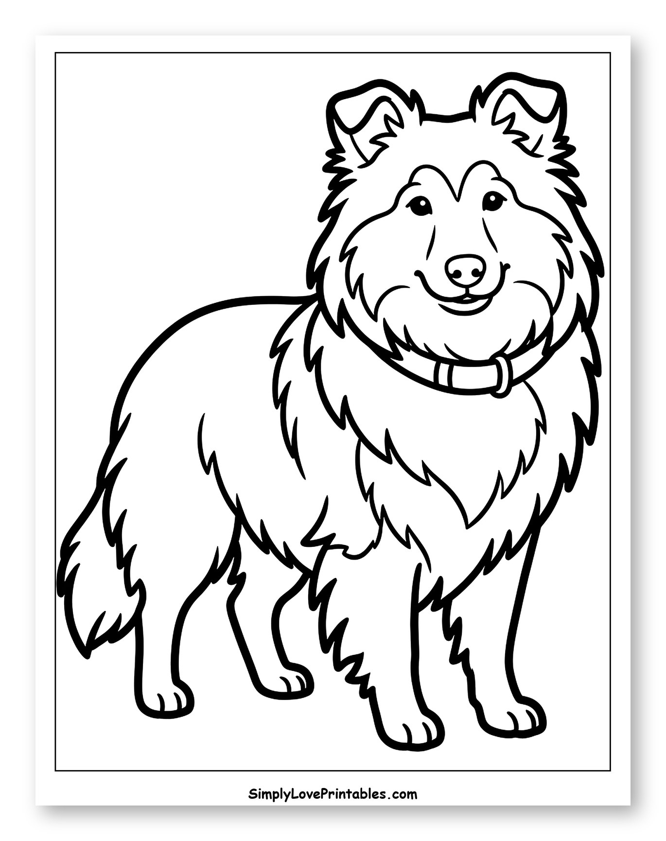 Happy Shetland Sheepdog Standing to Color for Toddlers
