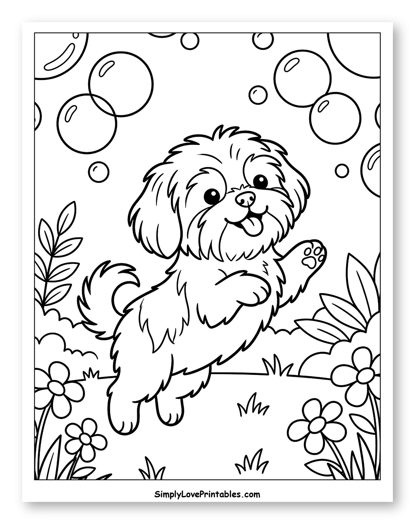 Happy Shih Tzu Dog Playing with Bubbles