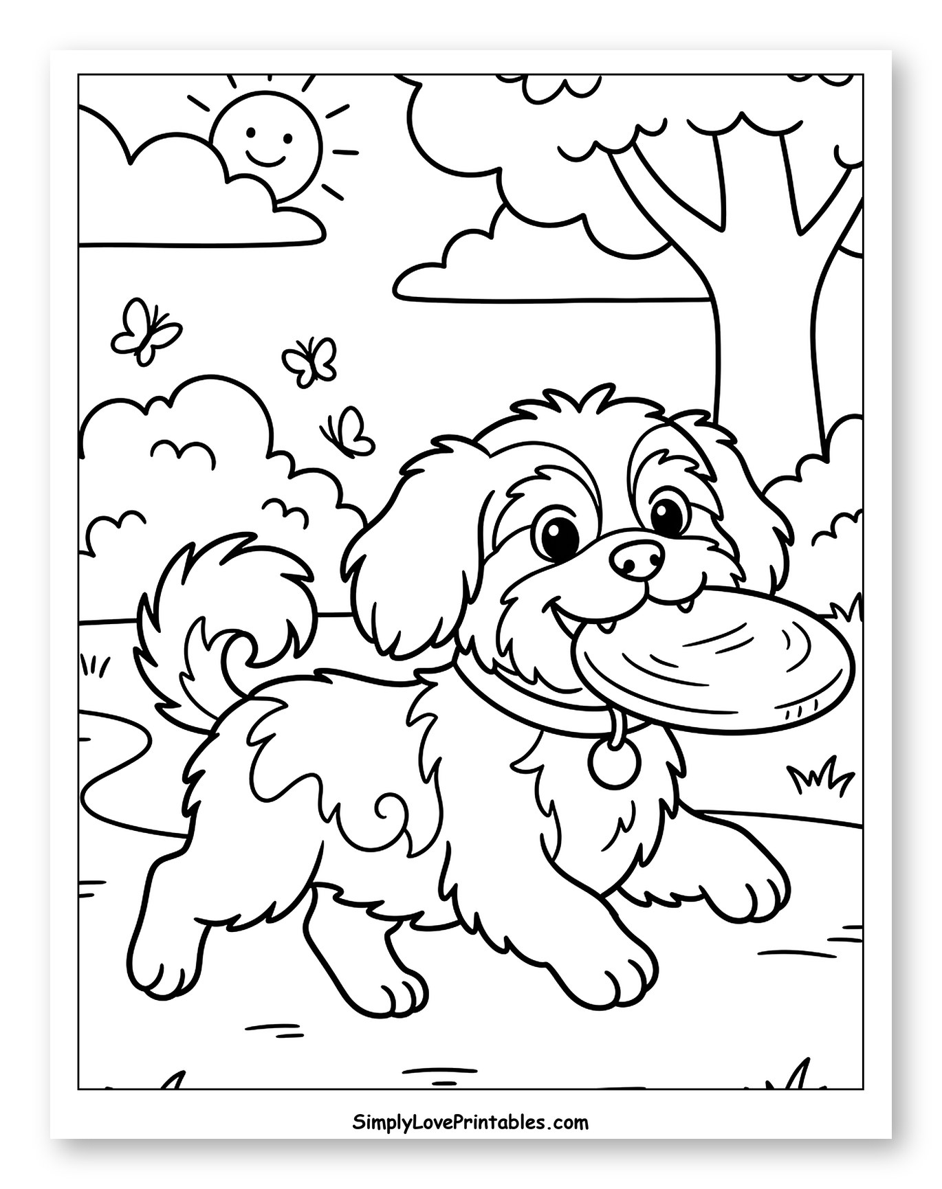 Happy Shih Tzu Dog Playing with Frisbee