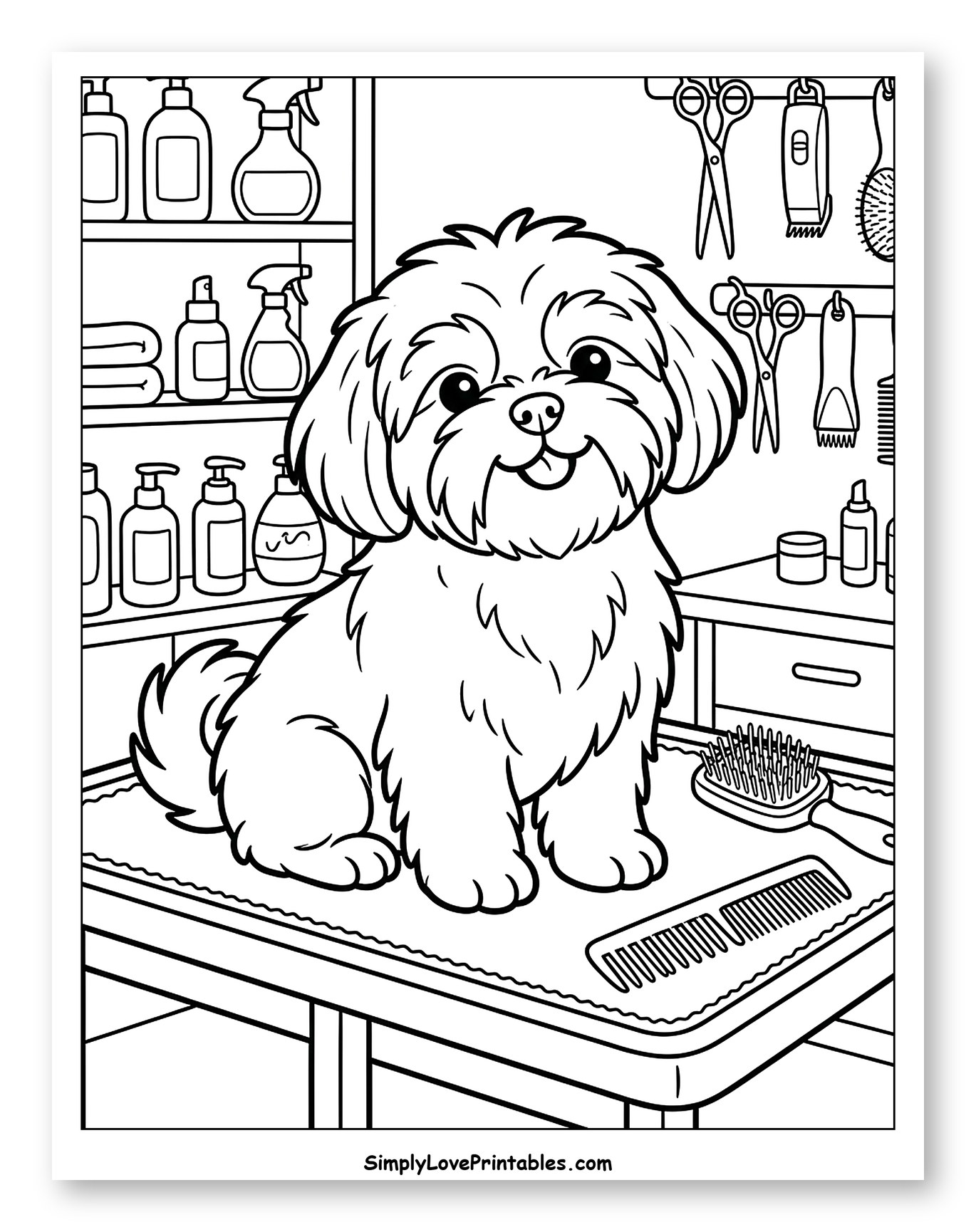 Happy Shih Tzu on Grooming Table