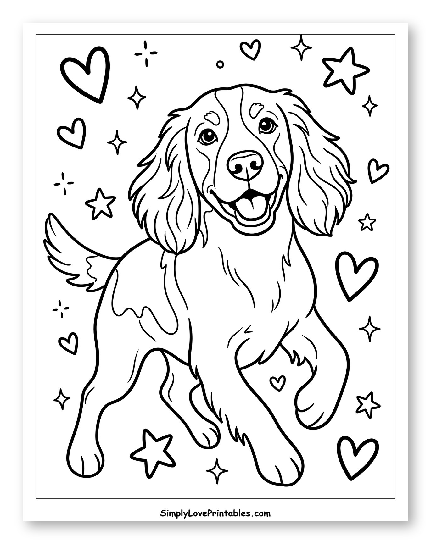 Happy Springer Spaniel Puppy with Hearts and Stars Coloring Page for Adults