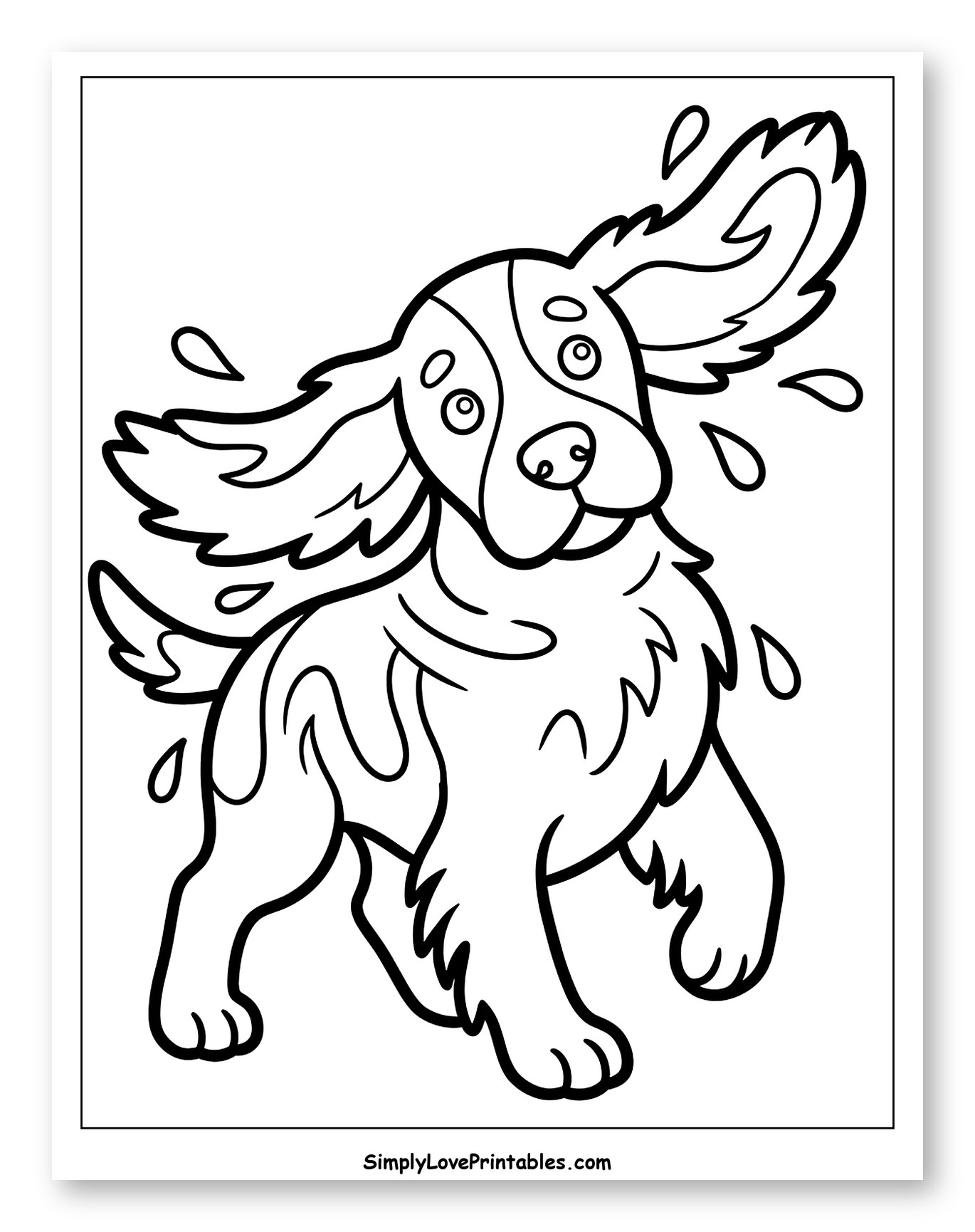 Happy Springer Spaniel Shaking Water Off
