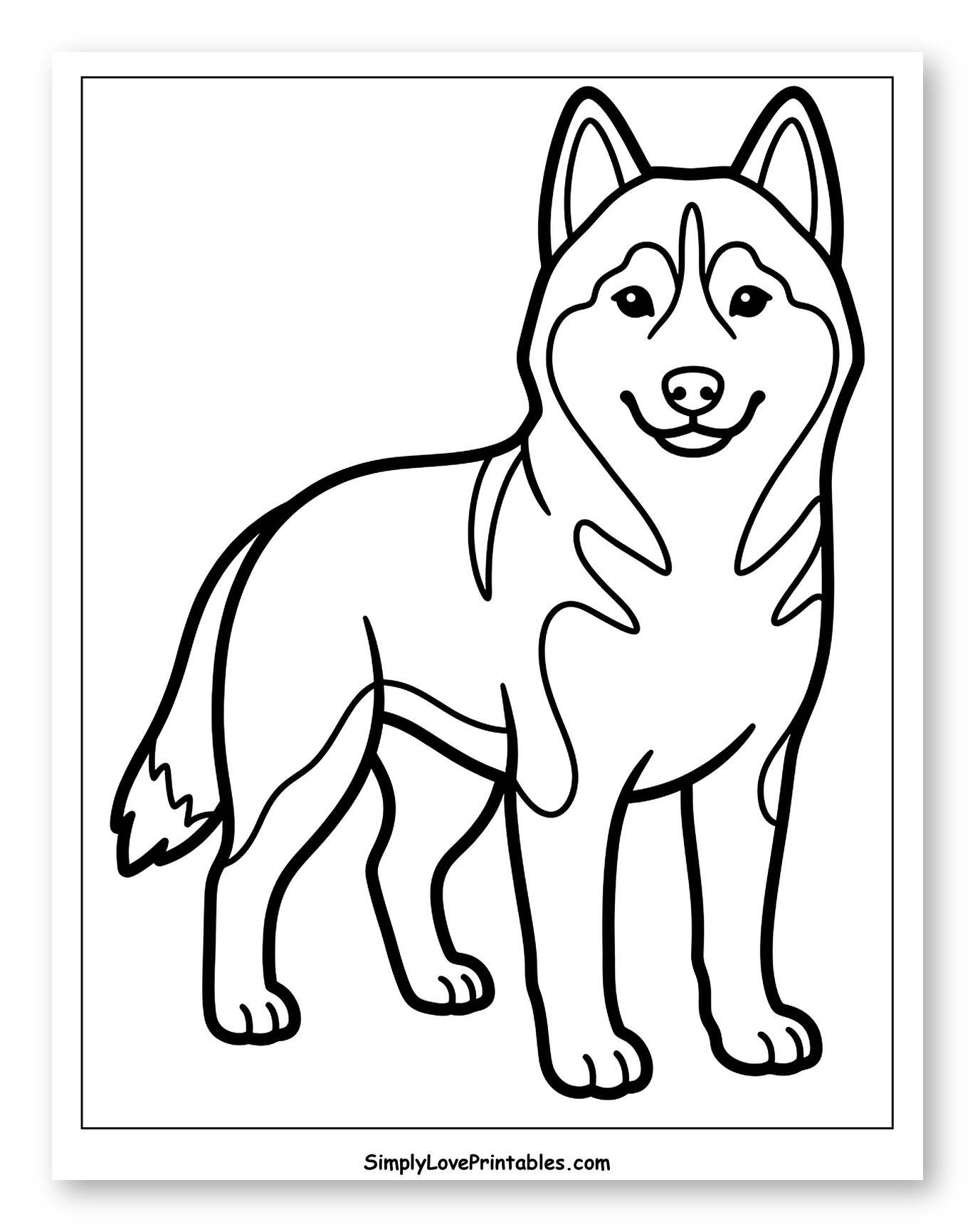 Happy Standing Siberian Husky Dog