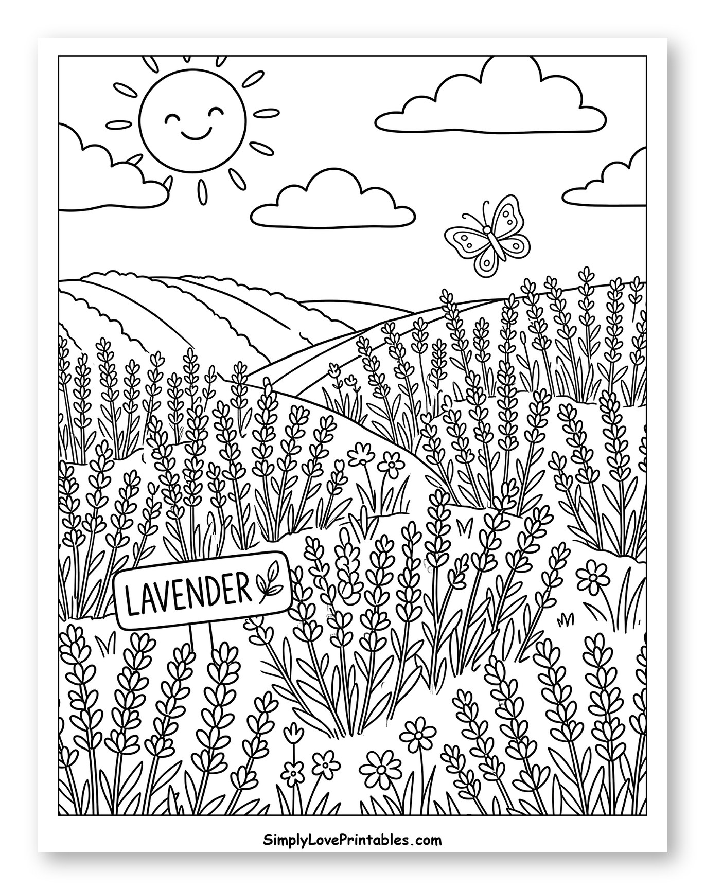 Happy Sun Over Lavender Field with Butterfly