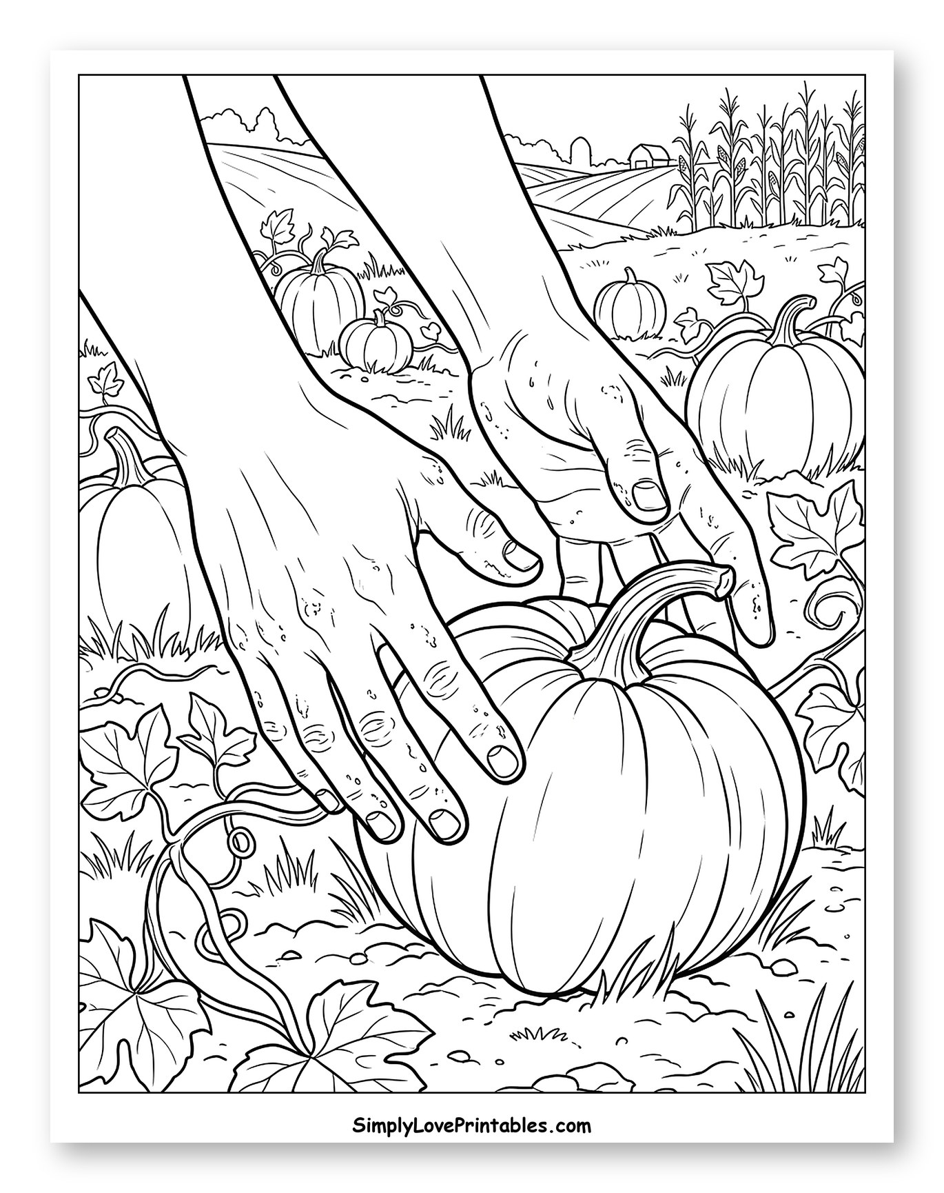 Harvesting a Ripe Pumpkin in the Patch