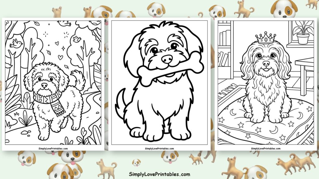 Havanese coloring pages featured image