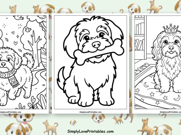 Havanese coloring pages featured image
