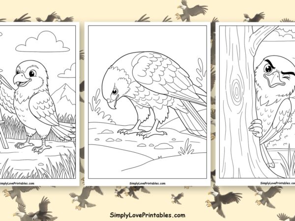hawk coloring pages featured image