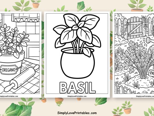 herbs coloring pages featured image
