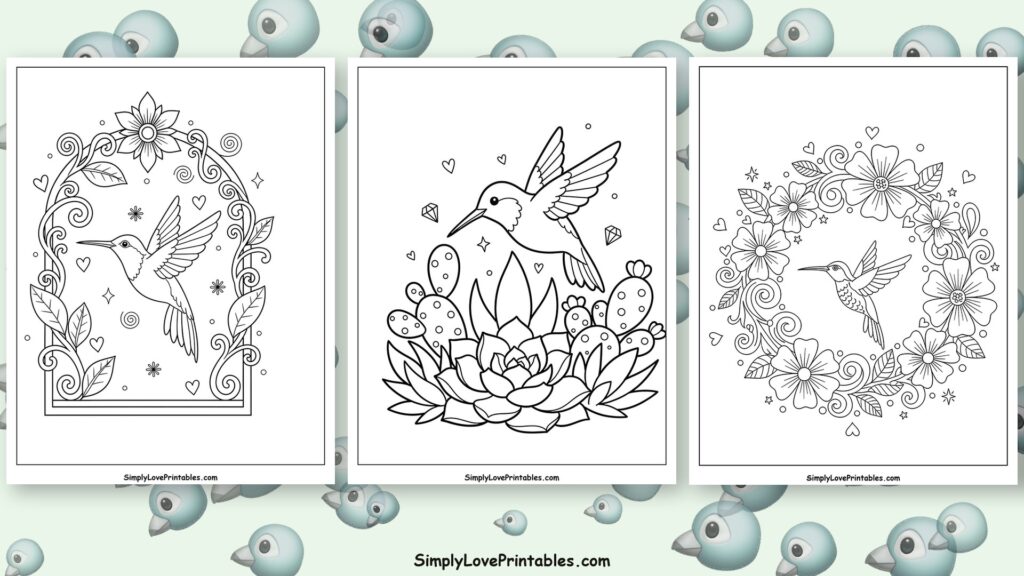 Hummingbird coloring pages featured image