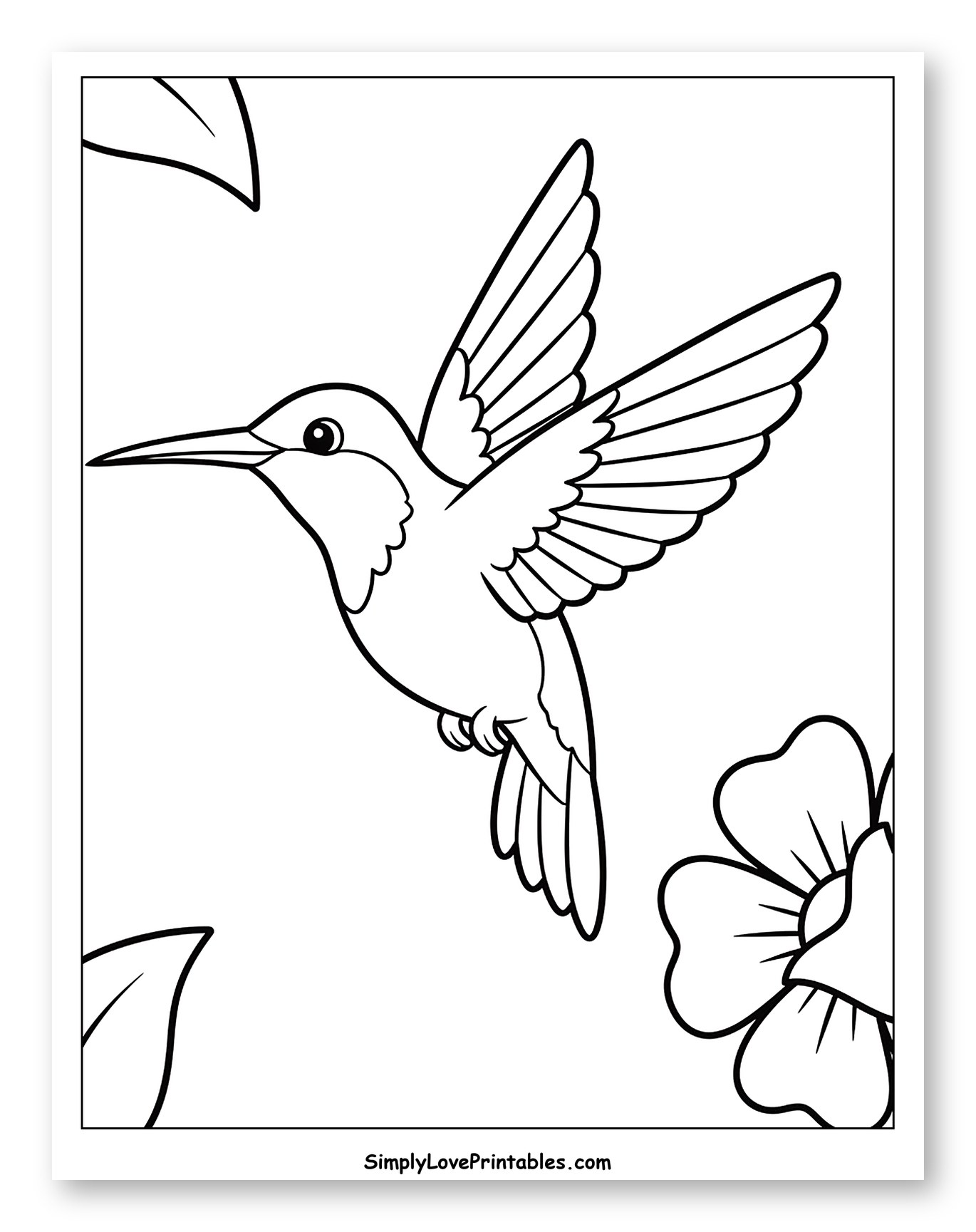 Hummingbird Flying Among Leaves and Flower