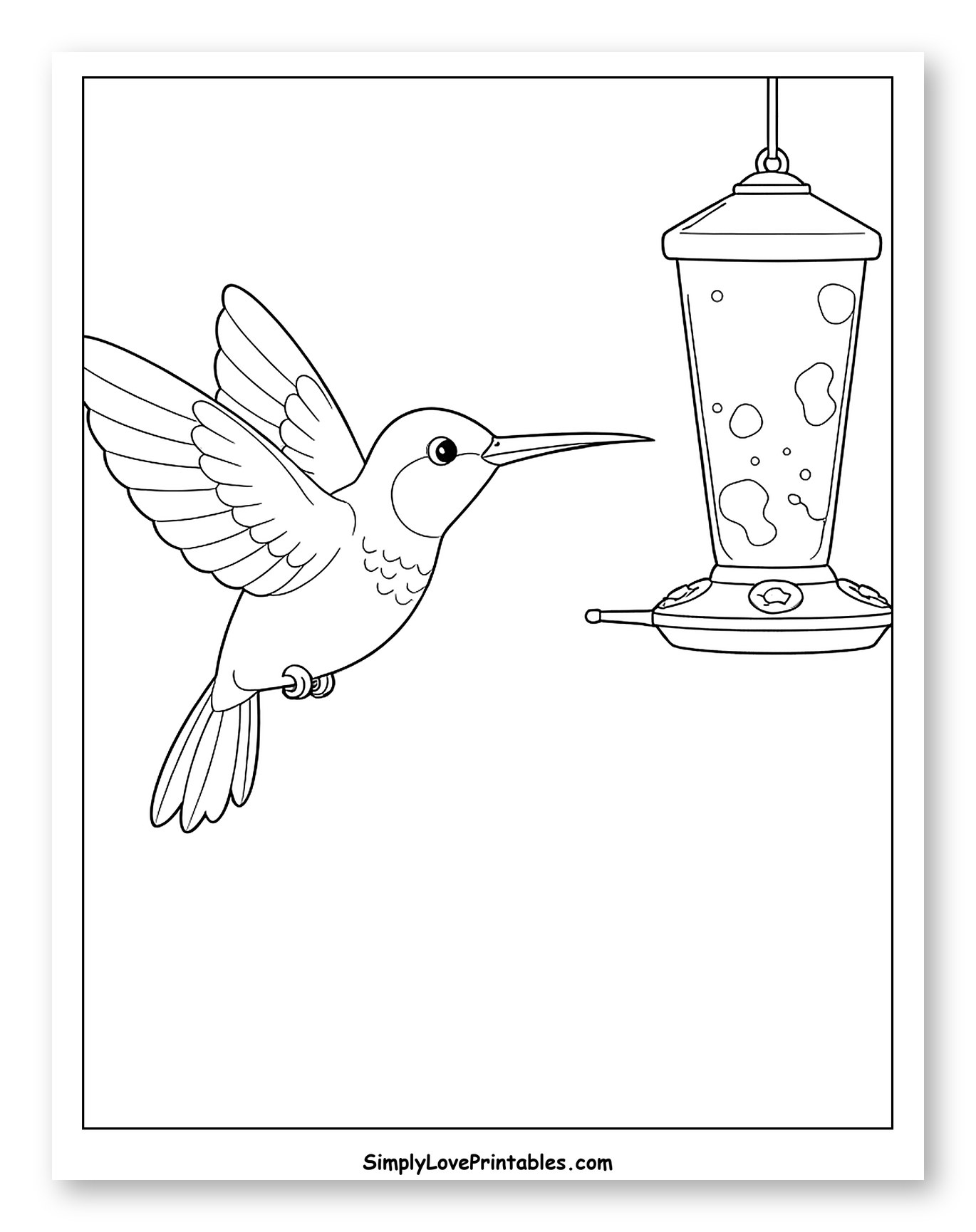 Hummingbird Nearing a Bird Feeder