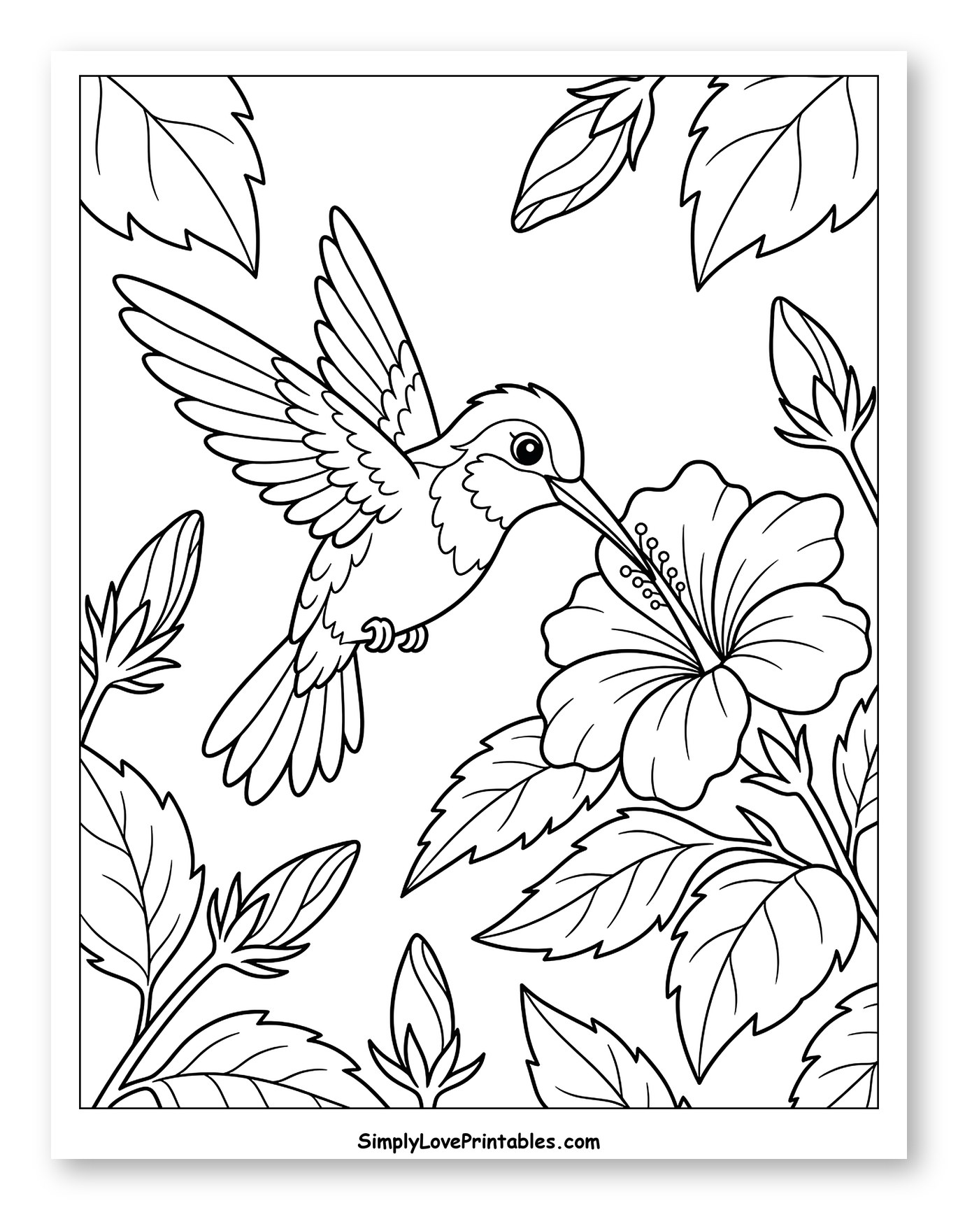 Hummingbird Nectaring From a Hibiscus Flower Coloring Page for Kids