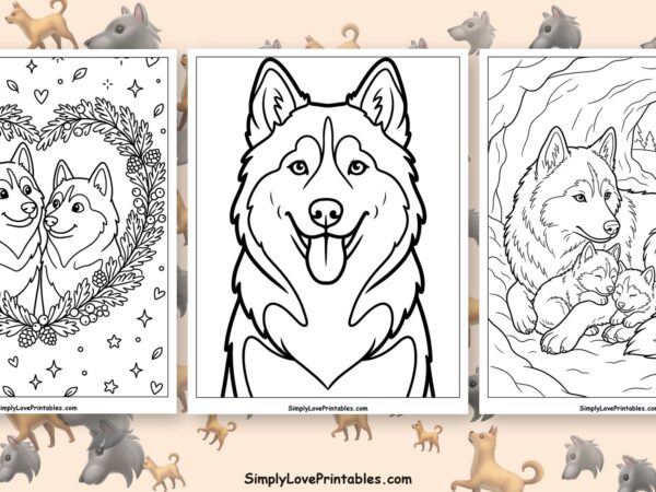Husky coloring pages featured image