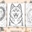 Husky coloring pages featured image