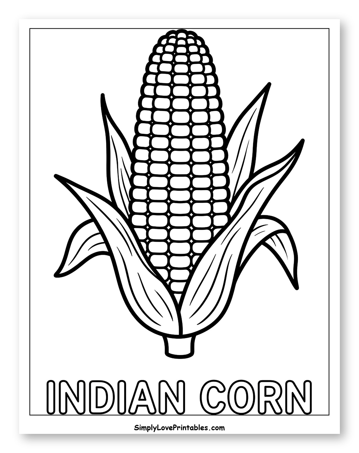 Indian Corn Cob with Husks