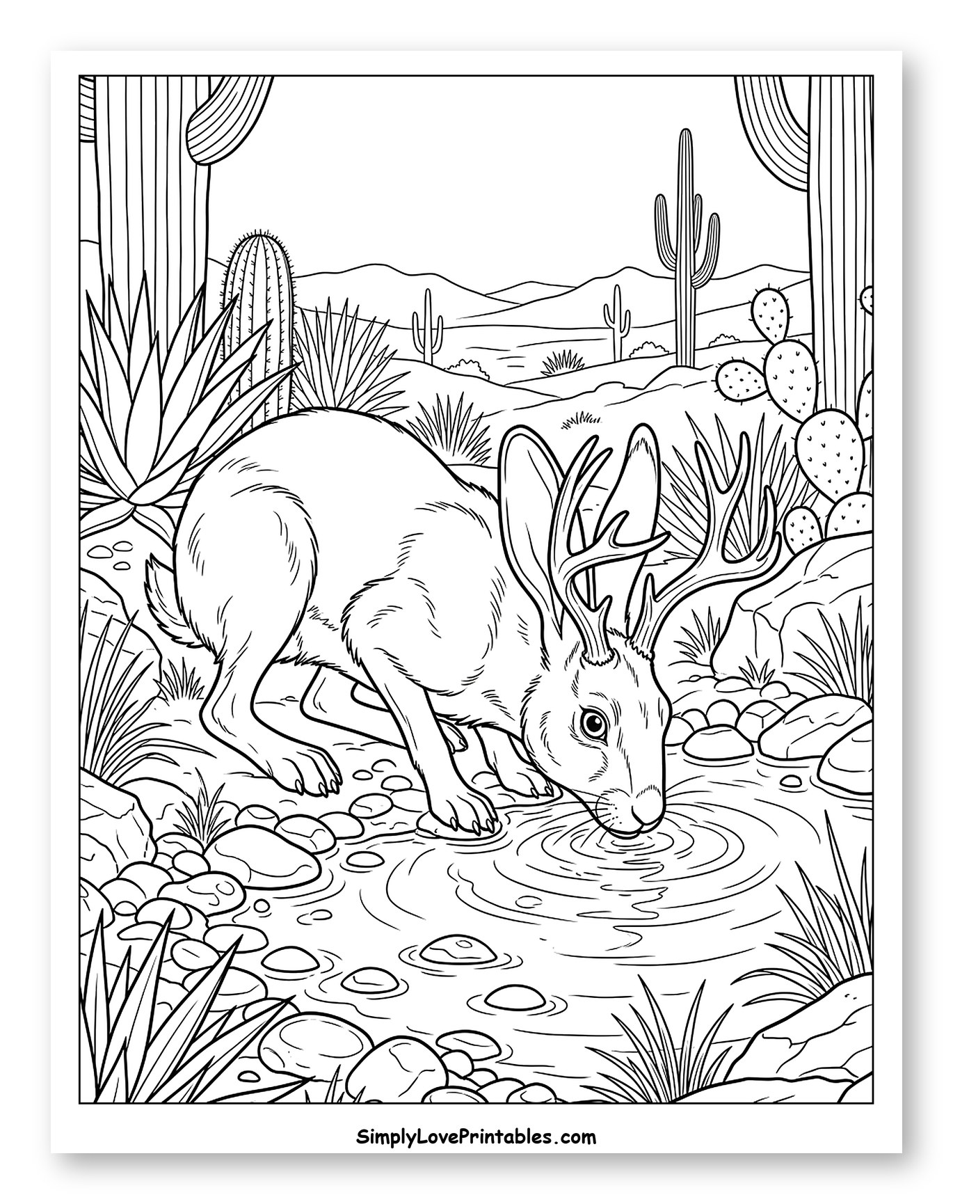 Jackalope Drinking Water in Desert