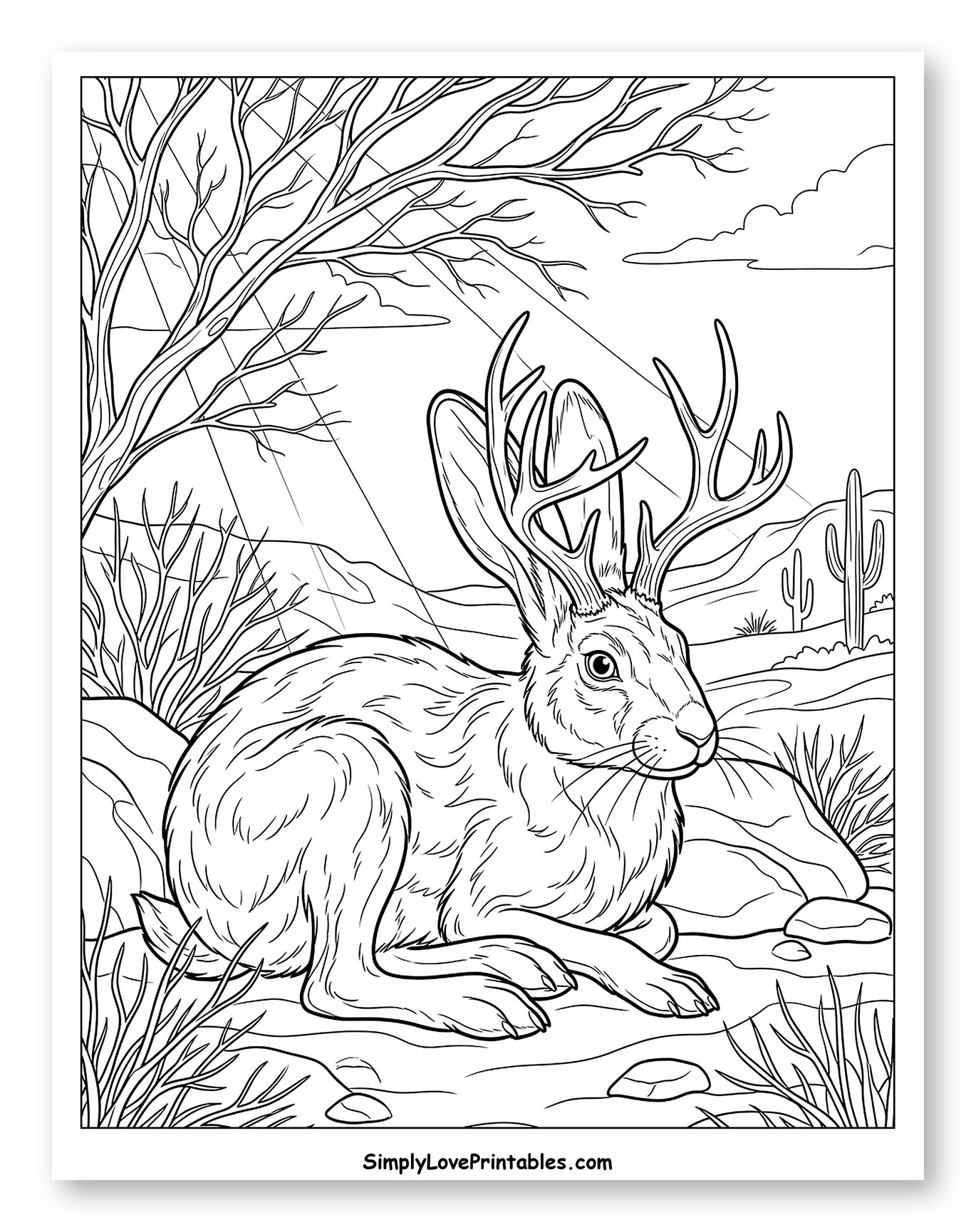 Jackalope Resting in a Sunny Desert to Color