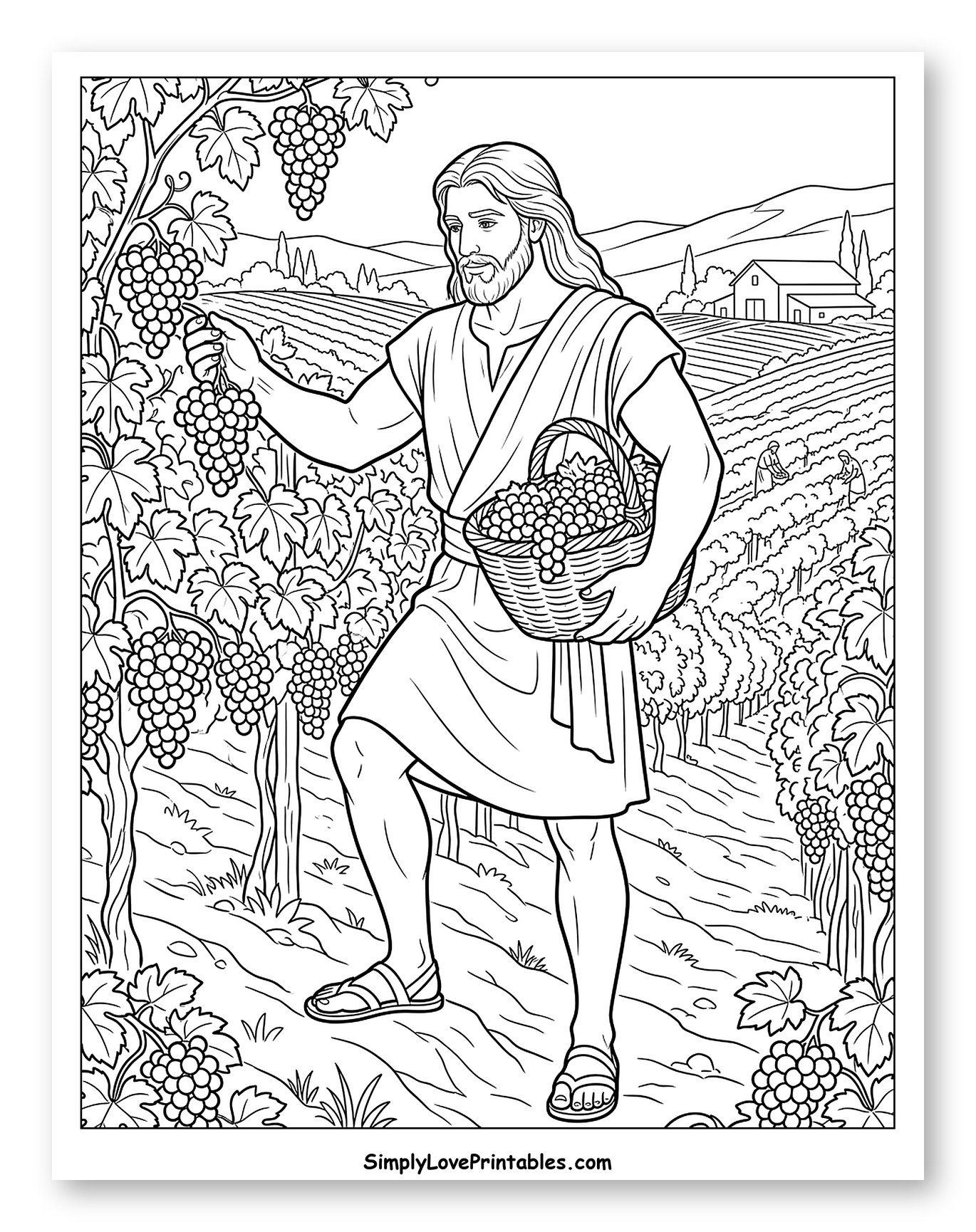 Jesus Harvesting Grapes in a Sunny Vineyard Coloring Page