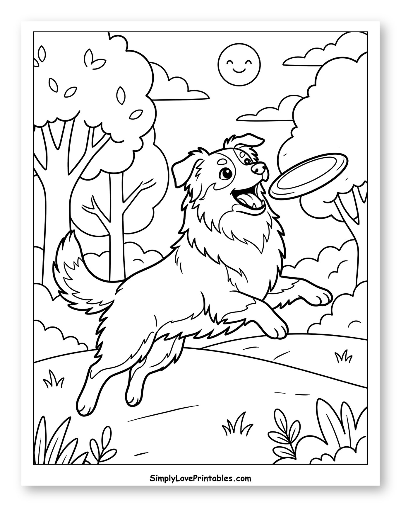 Joyful Australian Shepherd Leaping for a Frisbee