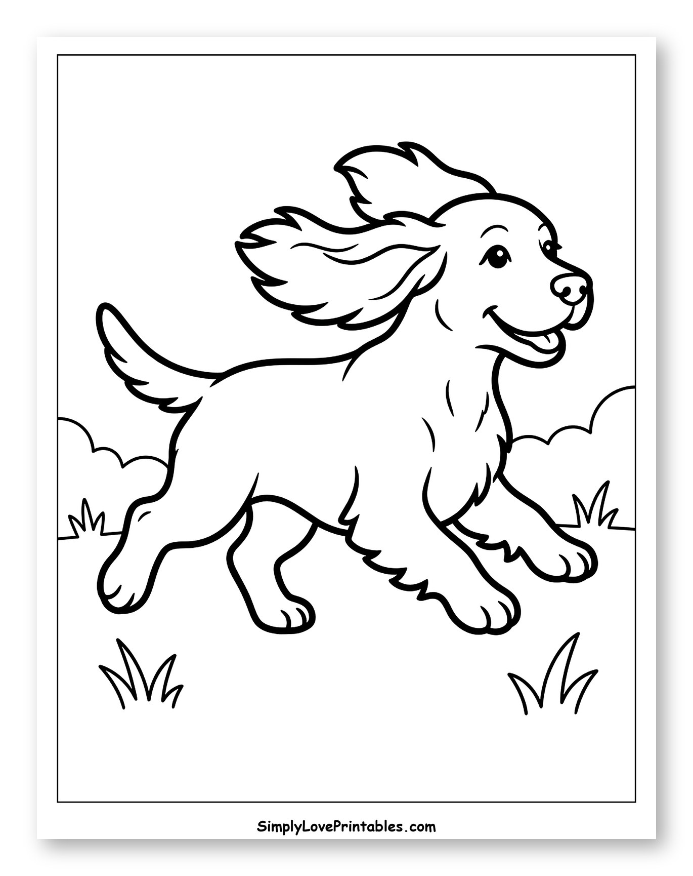Joyful Cocker Spaniel Puppy Playing Outside