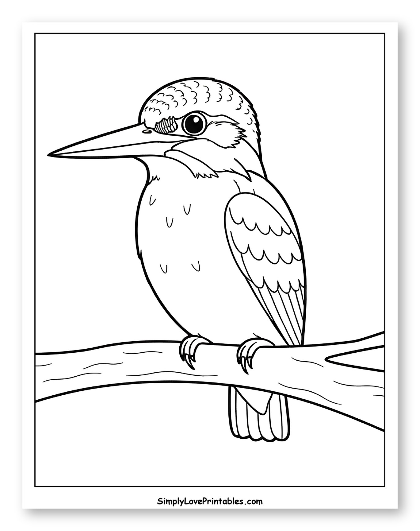 Kingfisher Bird Perched on a Branch