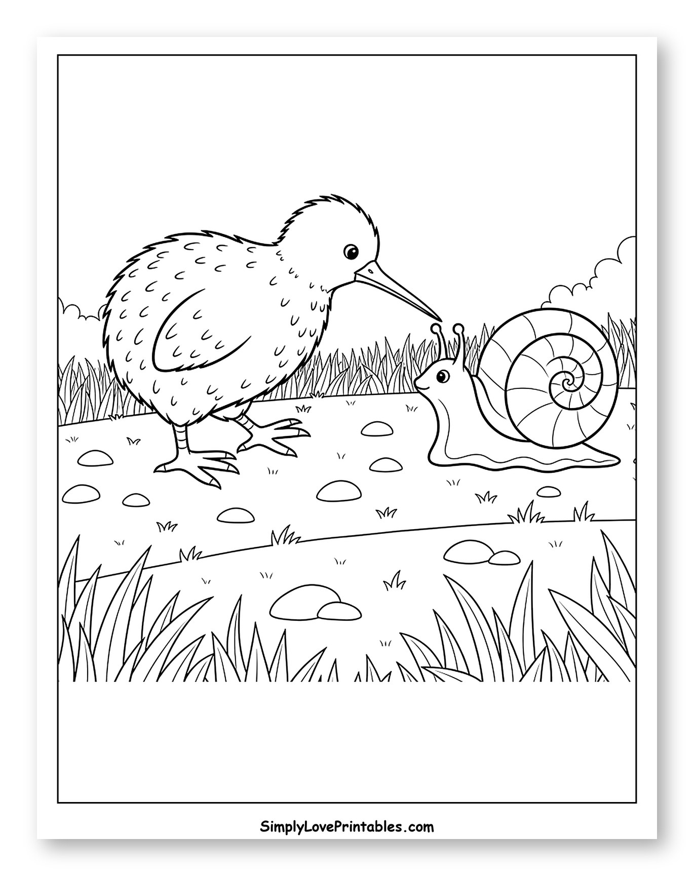 Kiwi Bird and Snail Encounter