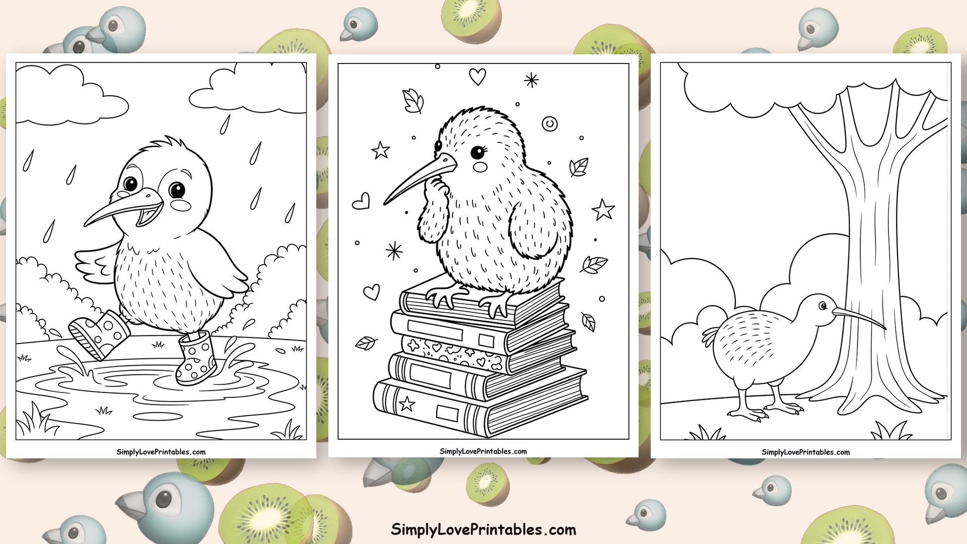 Kiwi Bird