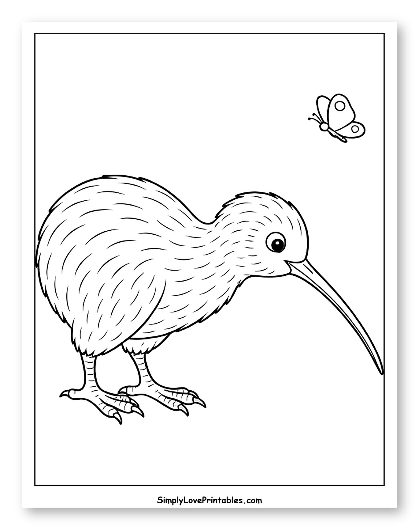 Kiwi Bird Looking at a Small Butterfly