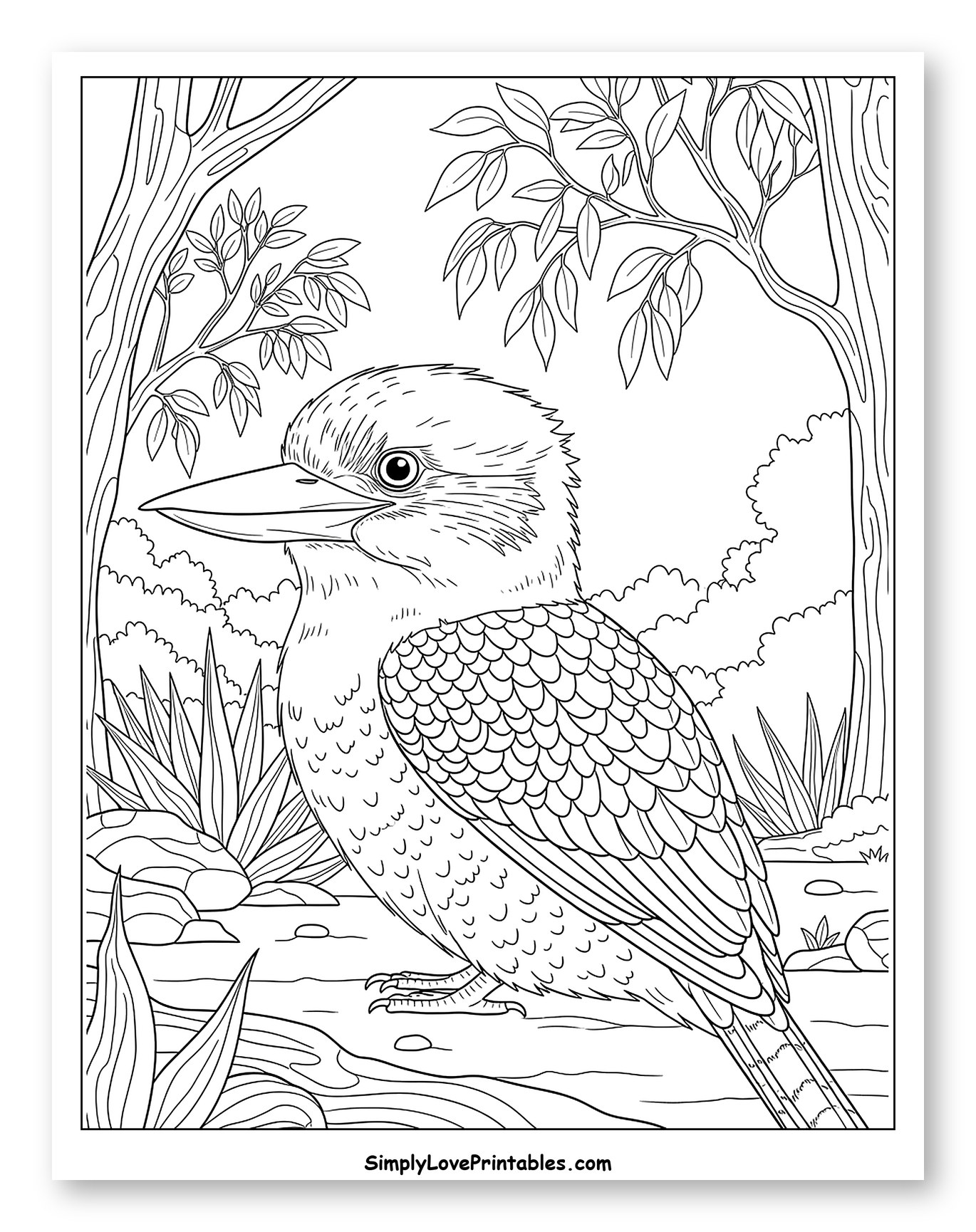 Kookaburra Bird Perched in a Forest Coloring Sheet for Toddlers