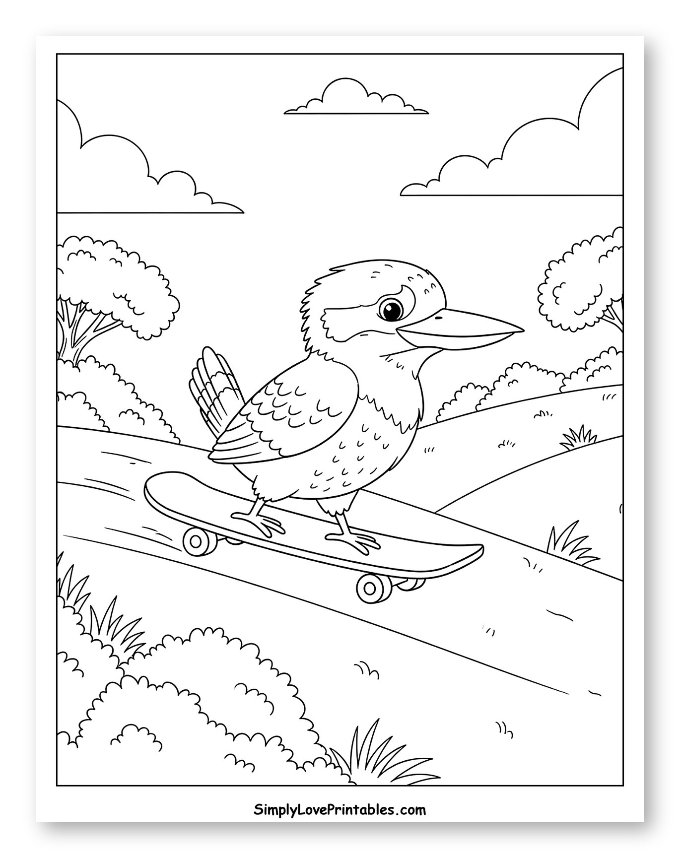 Kookaburra Bird Skateboarding Down a Hill