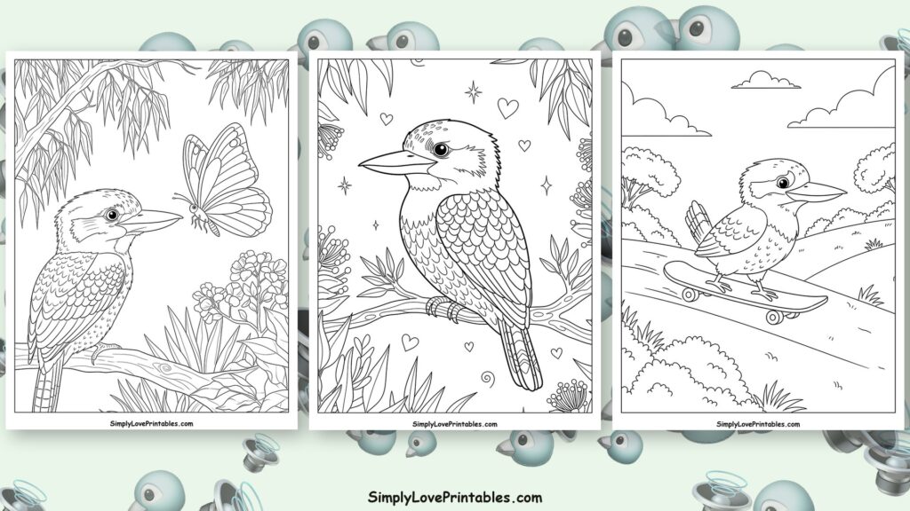kookaburra coloring pages featured image