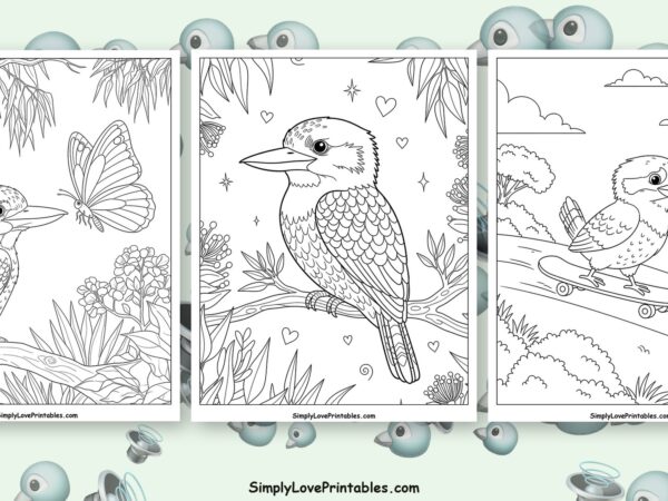 kookaburra coloring pages featured image