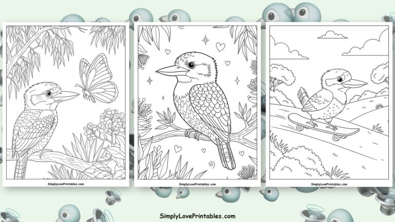 kookaburra coloring pages featured image