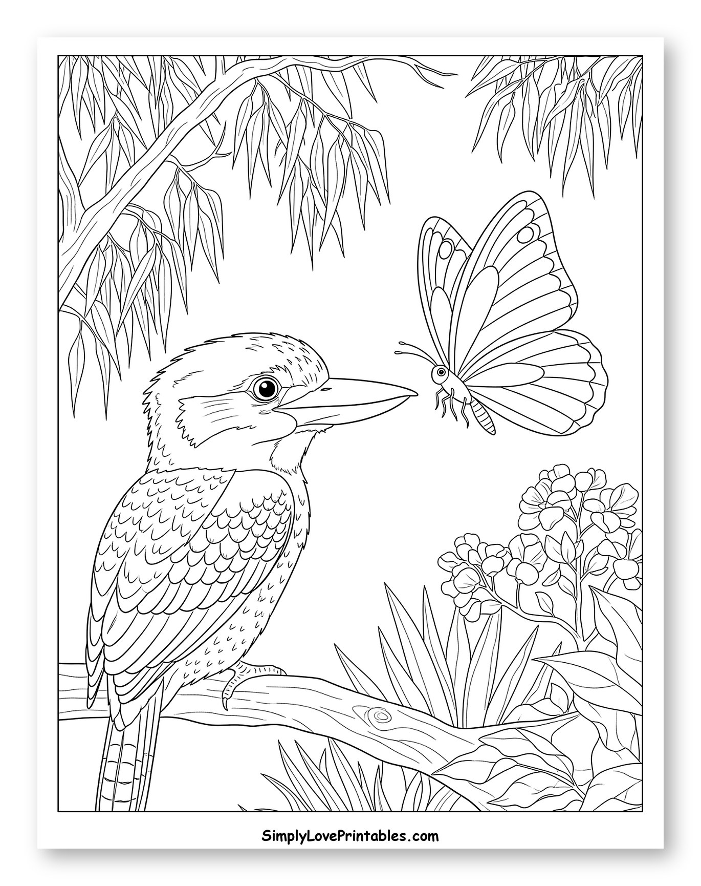 Kookaburra on a Branch with a Butterfly