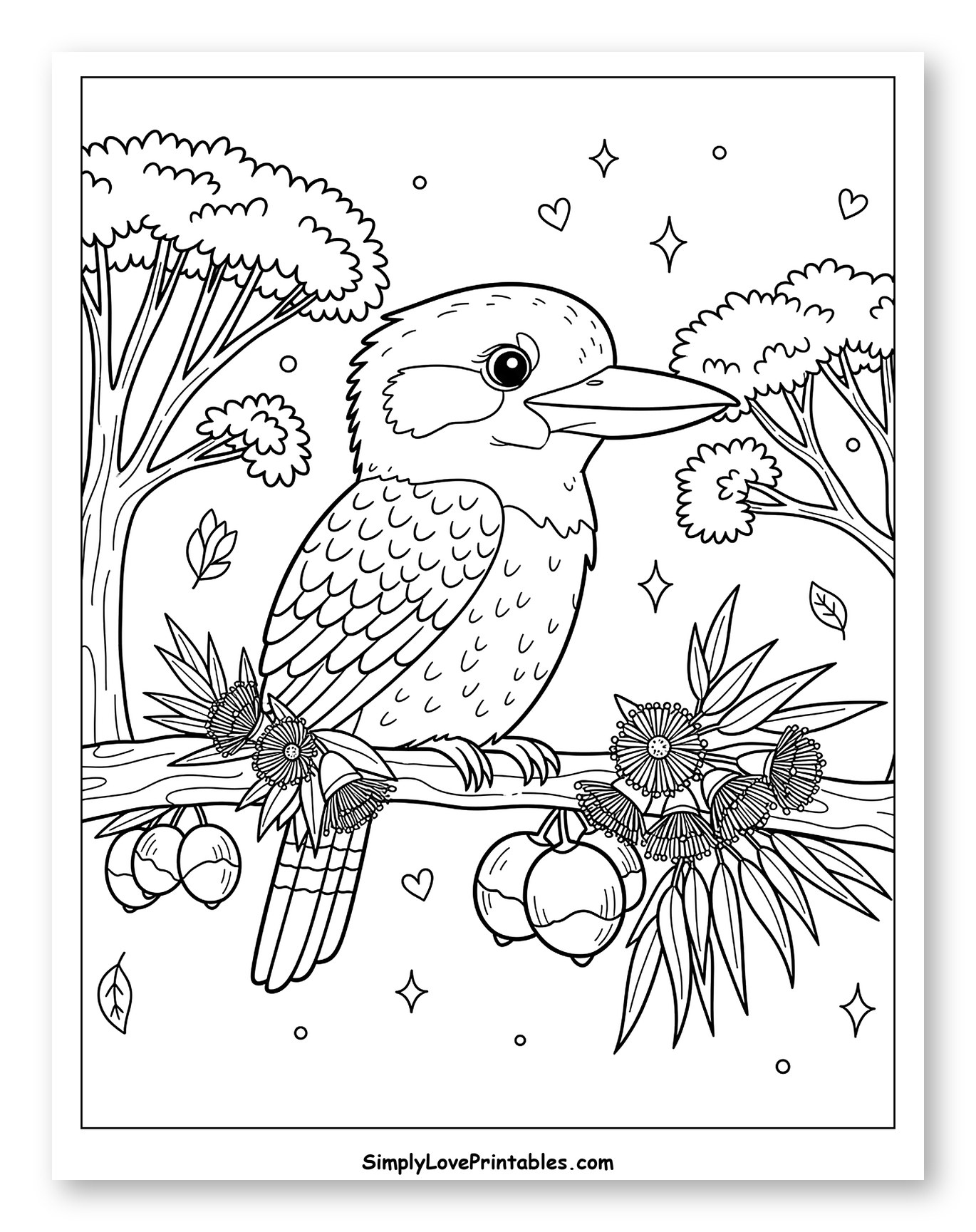Kookaburra on a Branch with Eucalyptus