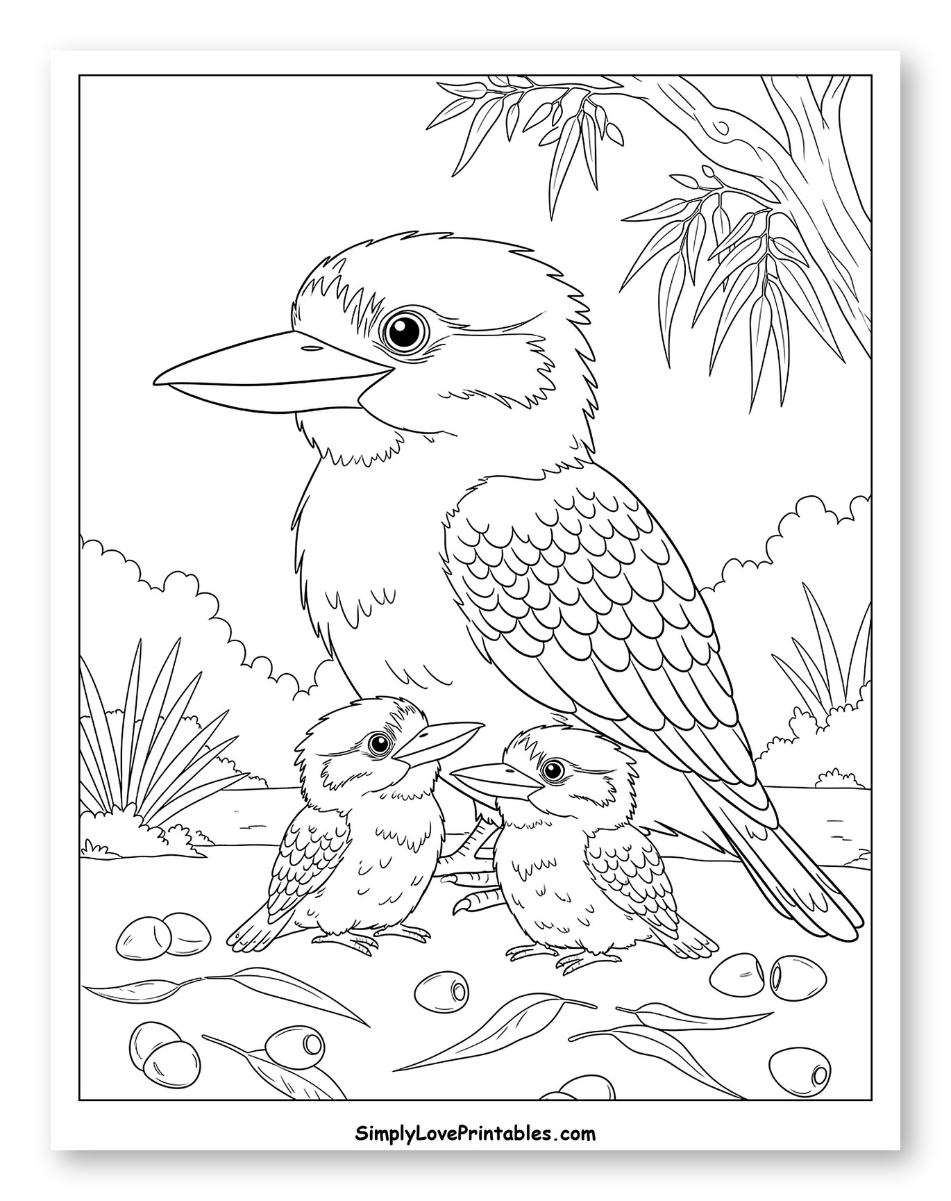 Kookaburra Parent and Two Chicks Coloring Sheet for Kids