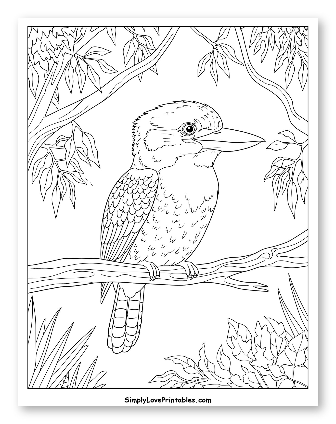Kookaburra Perched on Branch Among Leaves