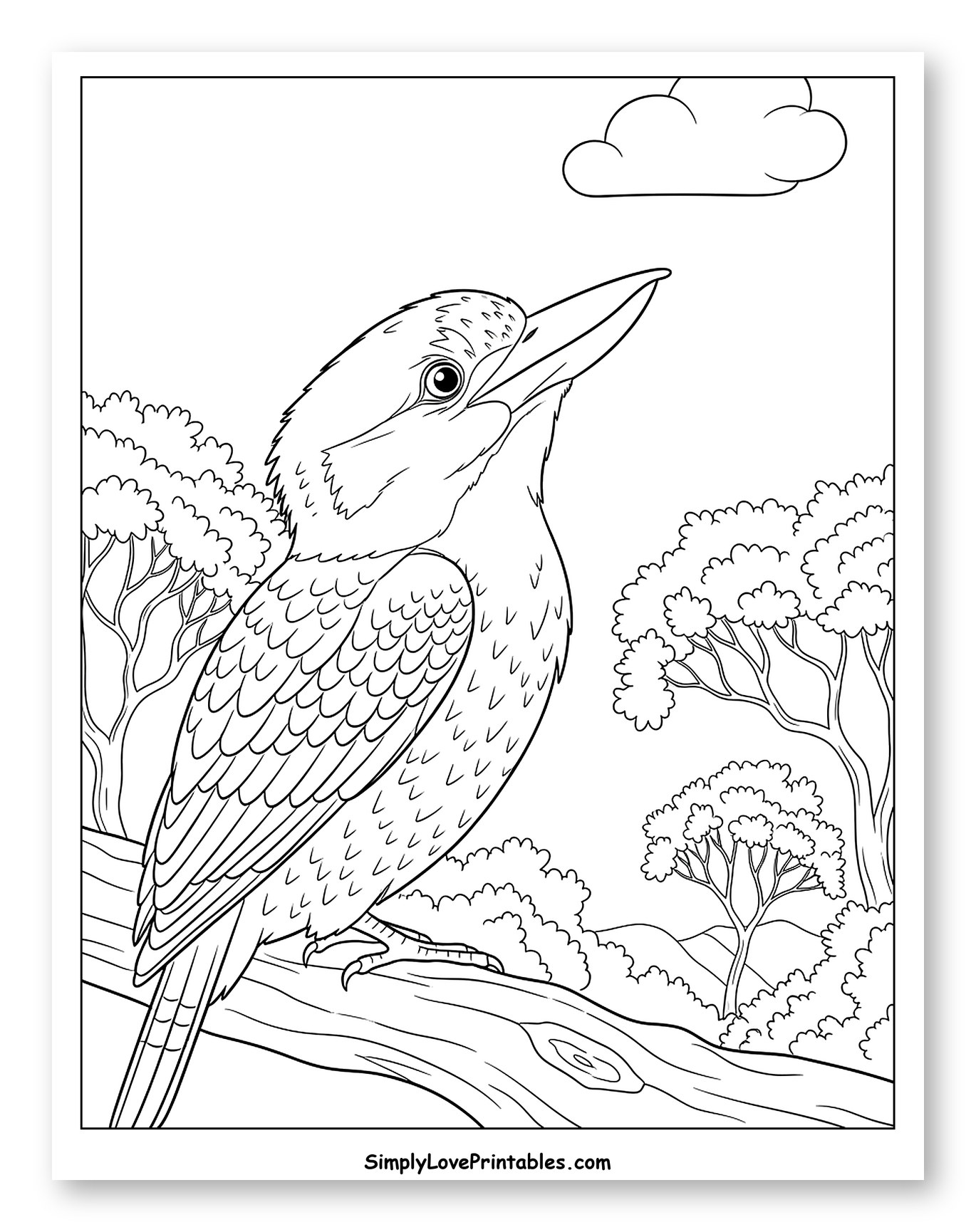Kookaburra Perched on Branch Looking Up to Color for Toddlers