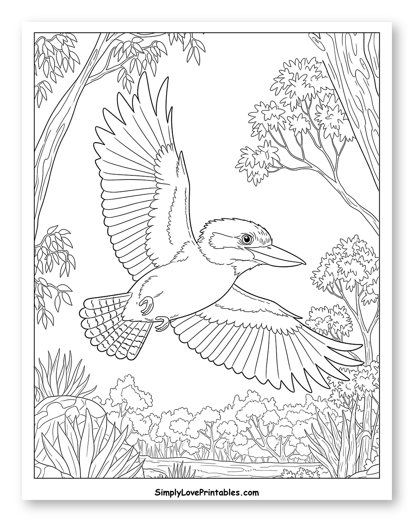Kookaburra Soaring Over a Woodland River to Color for Toddlers