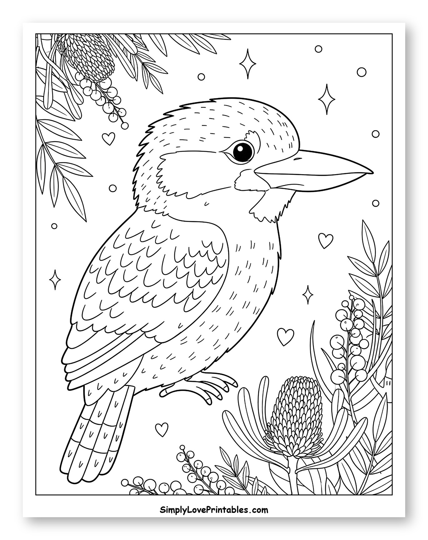 Kookaburra with Australian Native Flowers and Berries to Color for Adults
