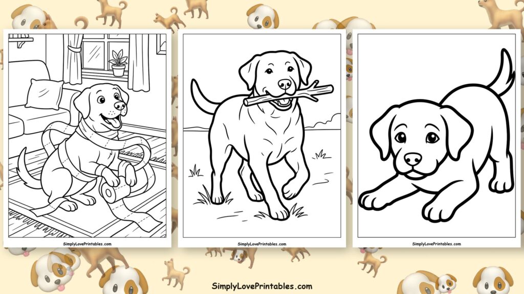 Labrador coloring pages featured image