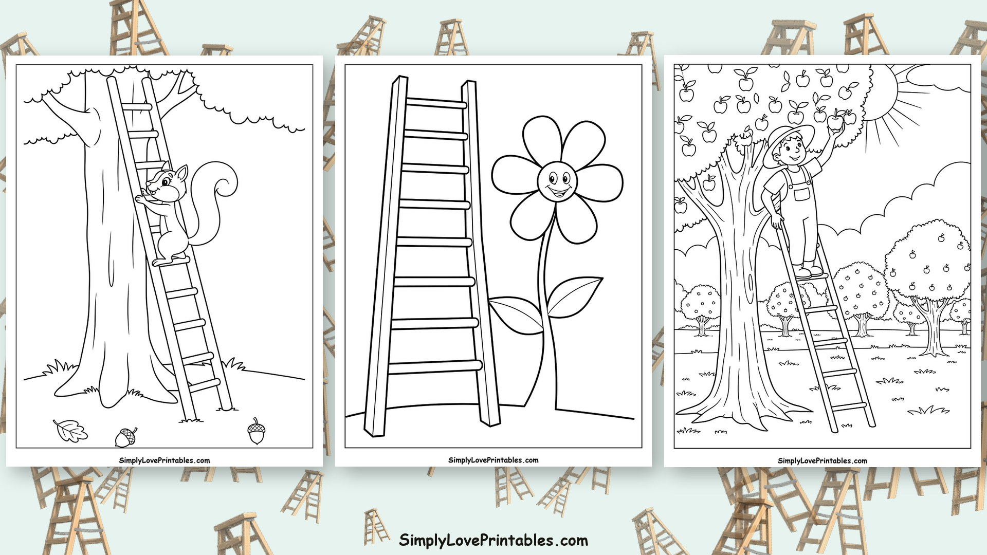 Ladder