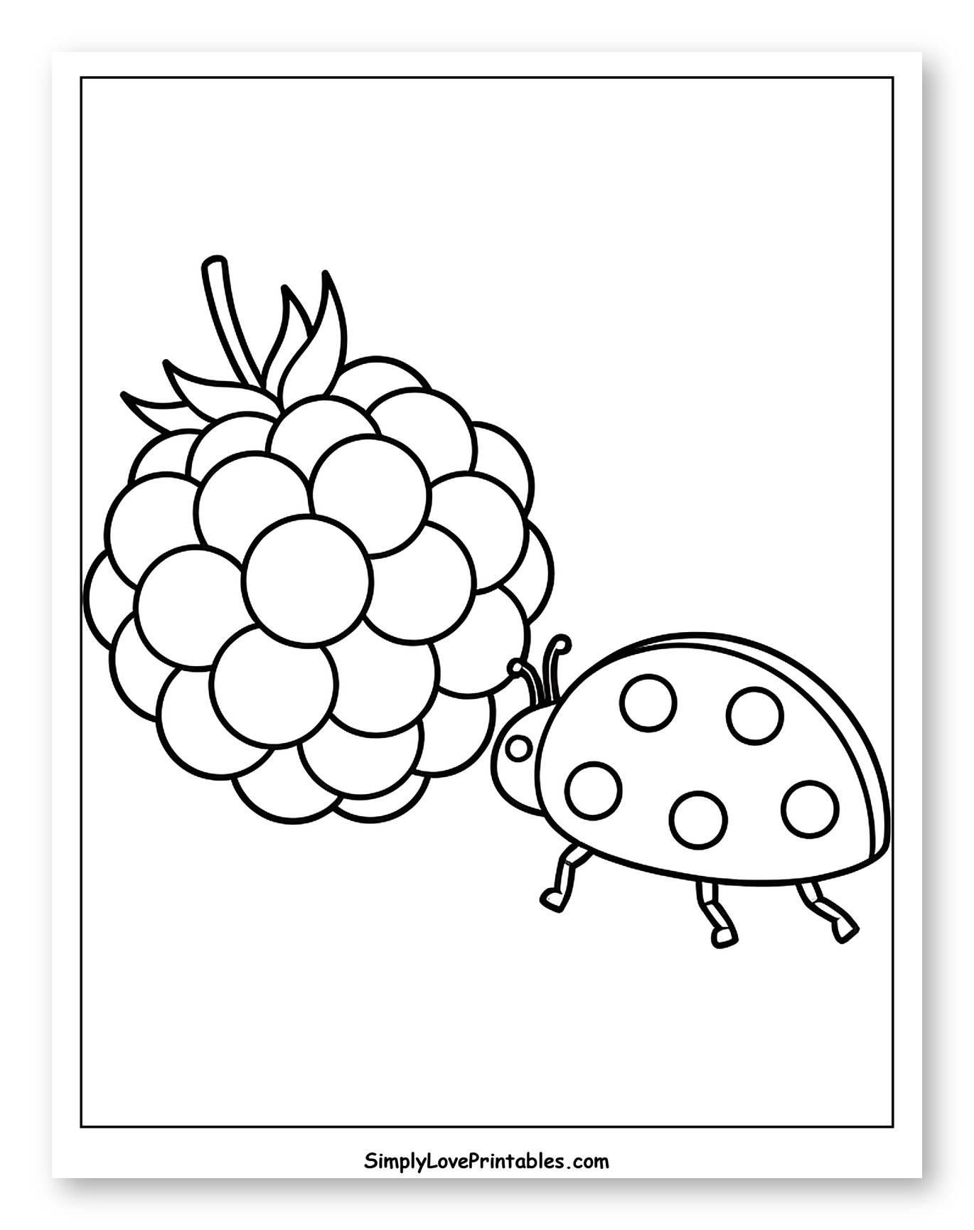 Ladybug Next to a Ripe Blackberry