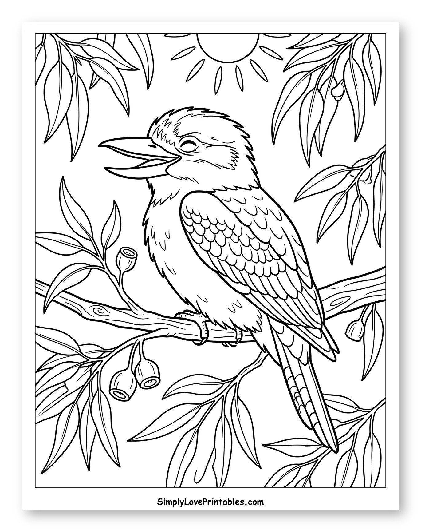 Laughing Kookaburra Perched on a Eucalyptus Branch